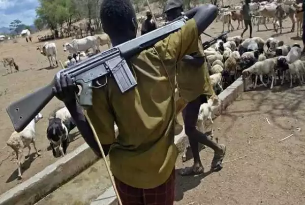 Adamawa killings: Bwatiye people urge FG to disarm Fulani herdsmen, say over 2,500 persons displaced